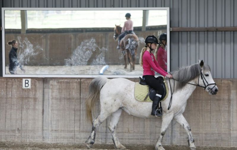 Paarden zijn lief en voelen je aan