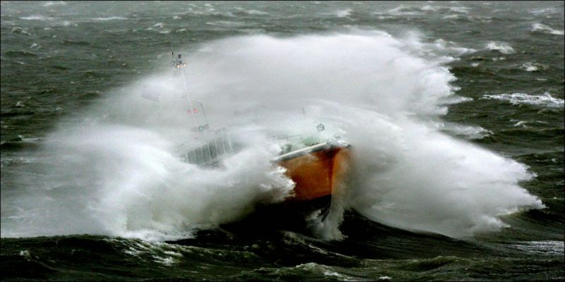 Storm... omgewaaide bomen en wateroverlast