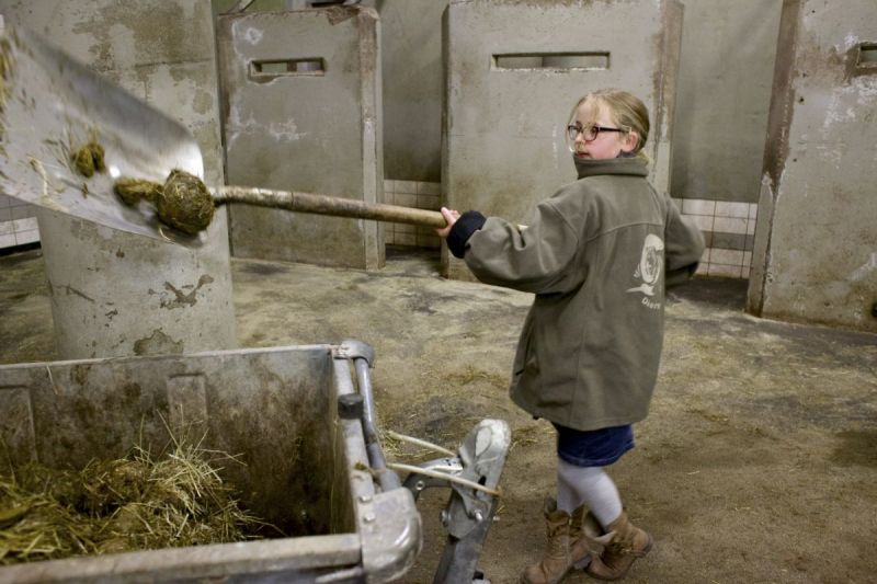 Hélène doet olifantenwerk (met extra foto's!)