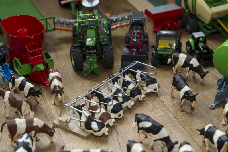 Dirk is boer van 43 speelgoedkoeien