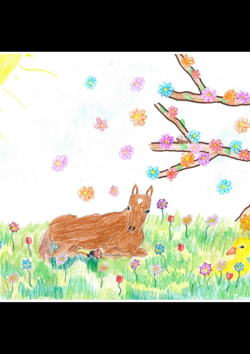 Jonge tekenaars brengen de lente in beeld