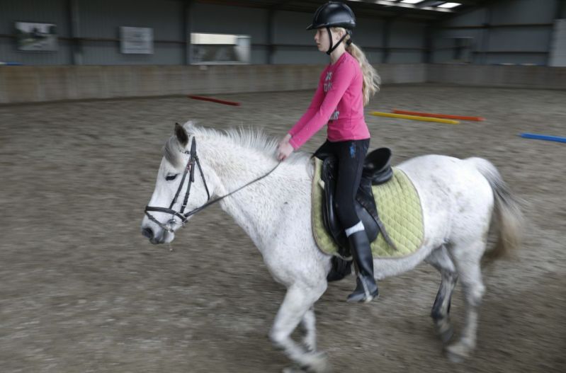 Paarden zijn lief en voelen je aan