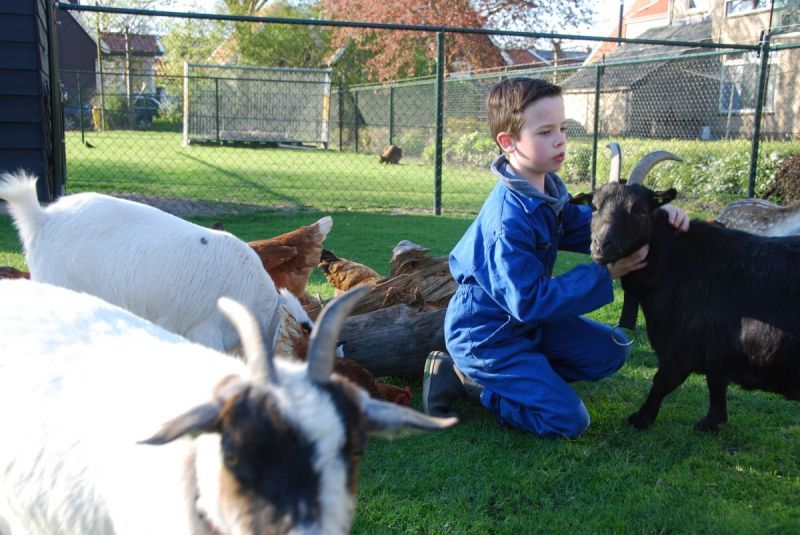 Ronald helpt mee in De Dierenwei