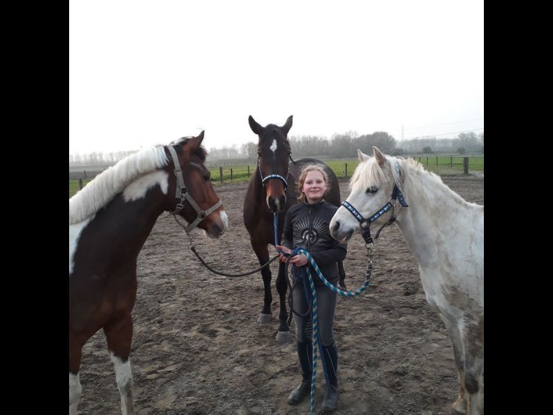 Roos, Ninah en Rosalie over hun lievelingen