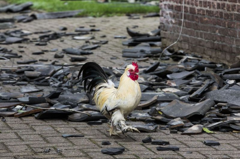 Wat een nacht! (Fotoserie)