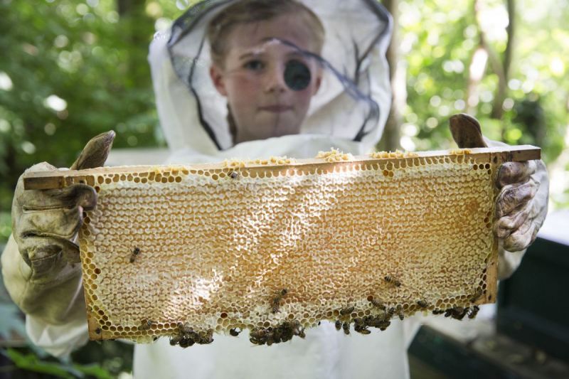 Bij de bijen in een imkerpak