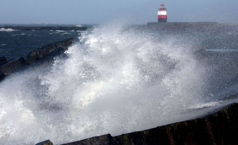 Storm... omgewaaide bomen en wateroverlast