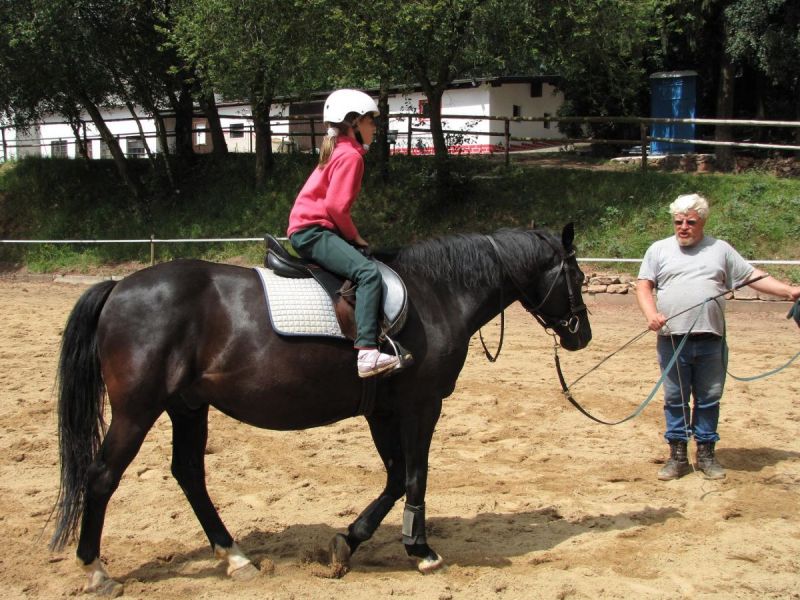 Kitslezers vinden paarden leuk!