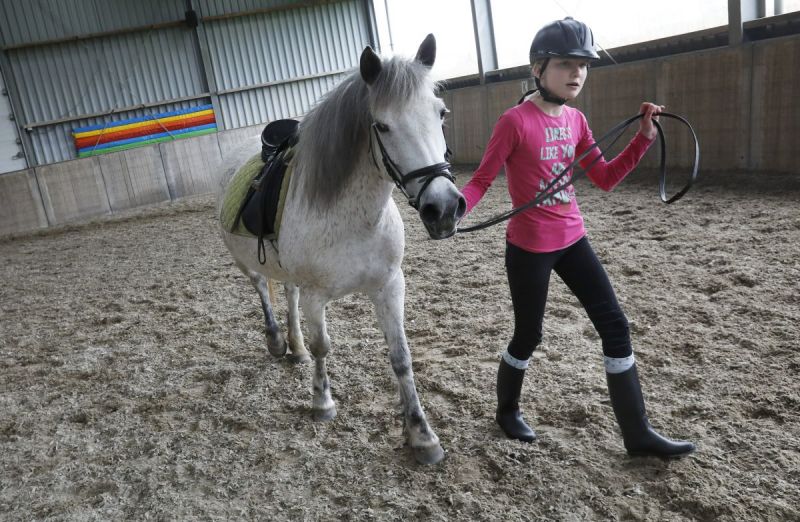 Paarden zijn lief en voelen je aan