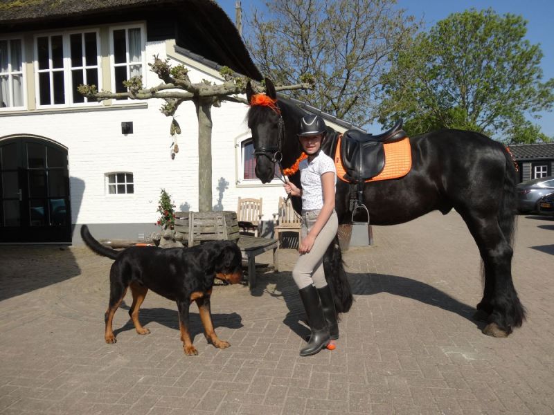 Paardenmeisje Sanne vertelt: