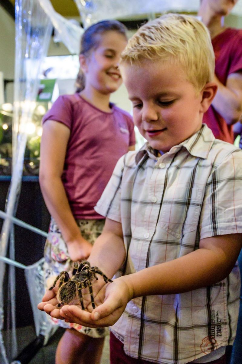 Griezelen bij de spinnenexpo