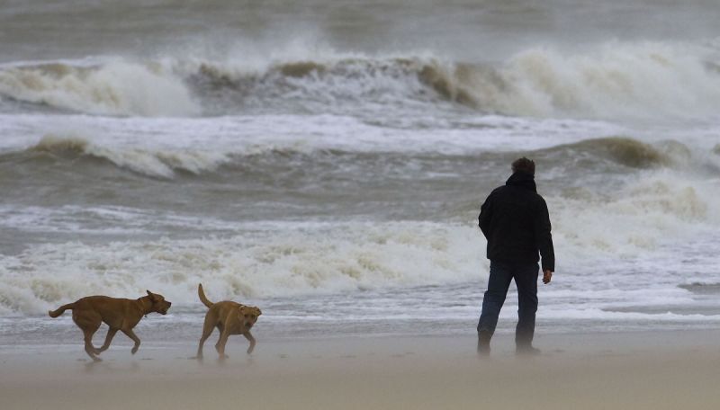 Storm... omgewaaide bomen en wateroverlast