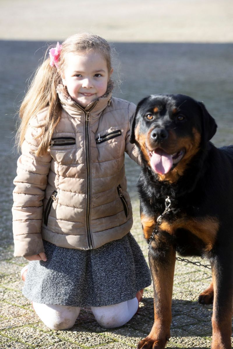 Rennen, knuffelen en kunstjes leren