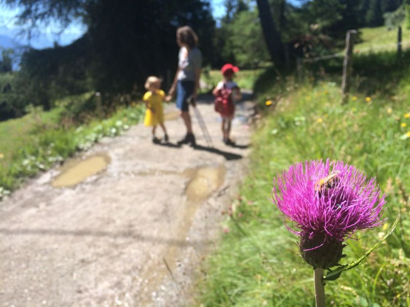 In de bergen wandelen is écht leuk!