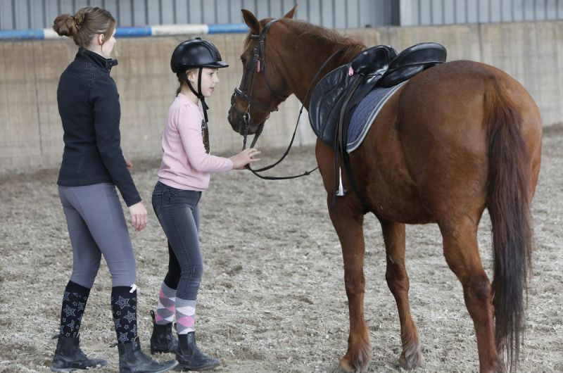 Paarden zijn lief en voelen je aan