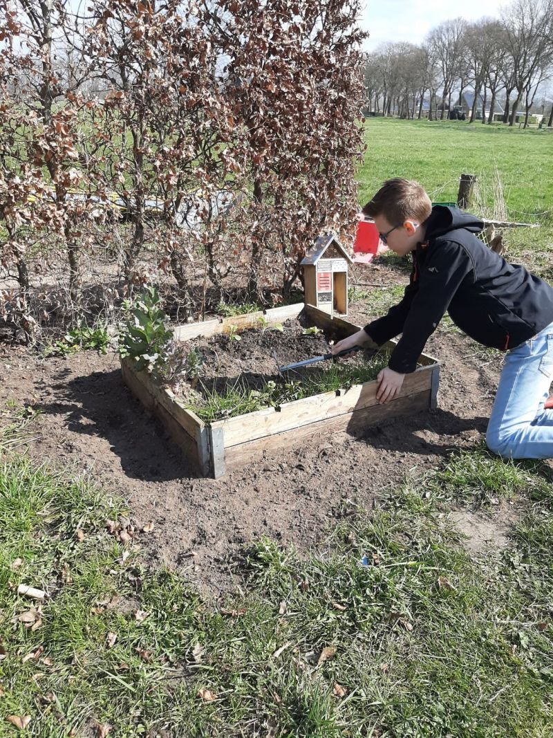 Tuintips van Henrick