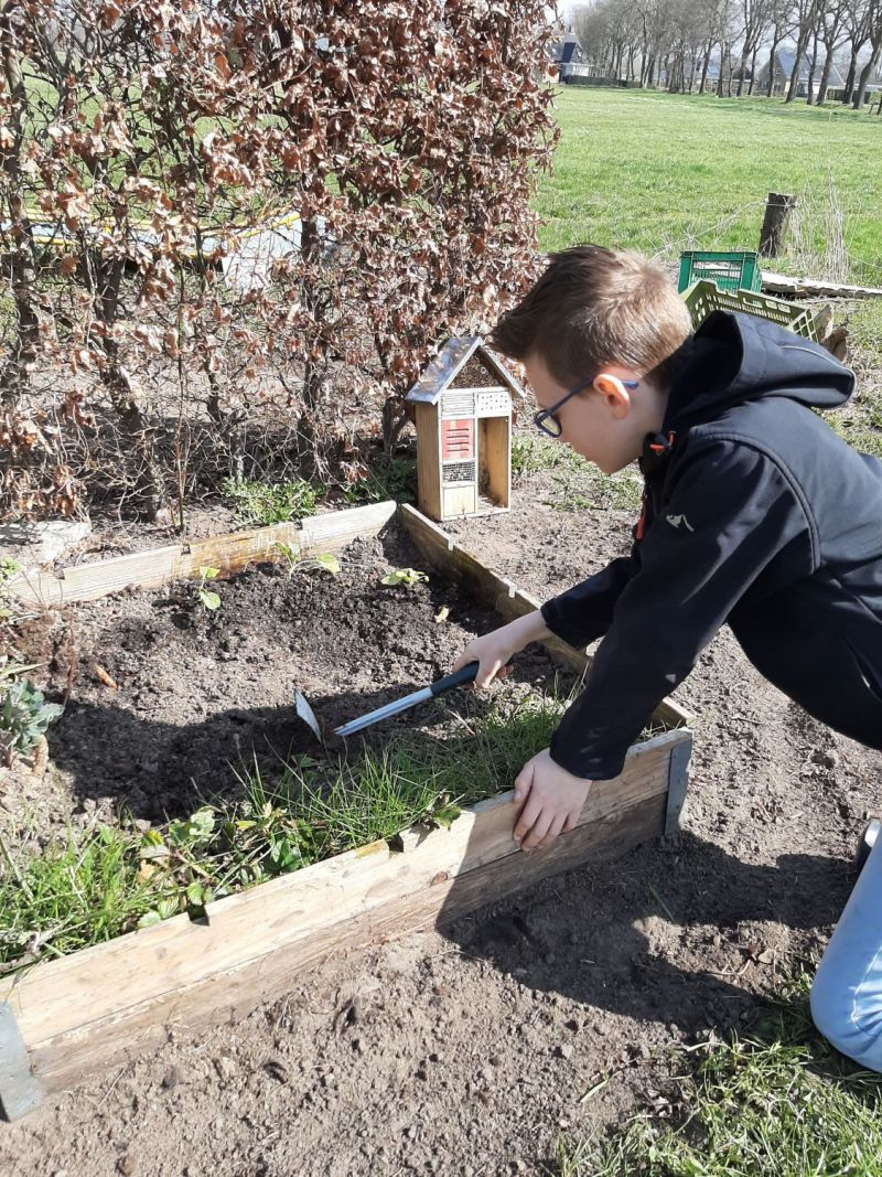 Tuintips van Henrick