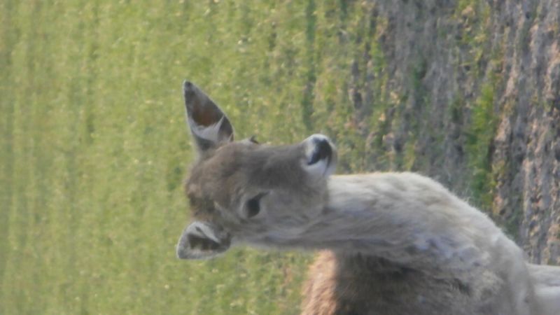 Alle ingestuurde foto's op een rijtje