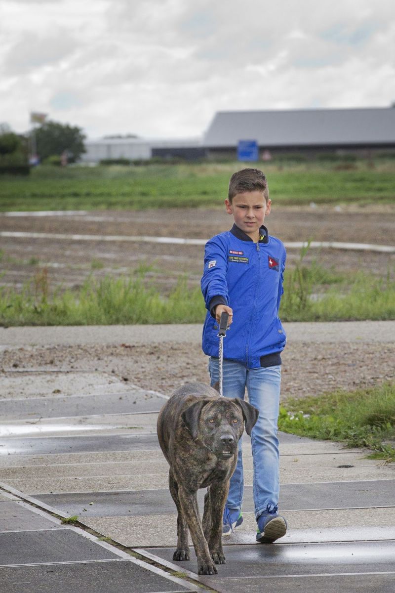 Jelle houdt van ontbijt met opa, oma en… ZEEUWSE WORST