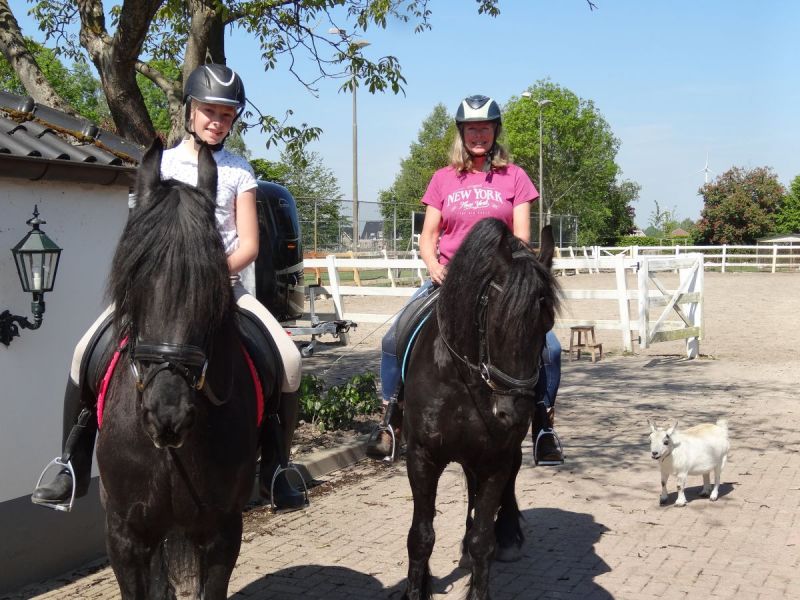 Paardenmeisje Sanne vertelt: