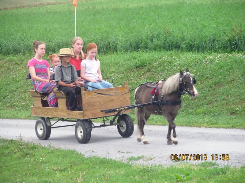 Twee zusjes logeren bij de Amish