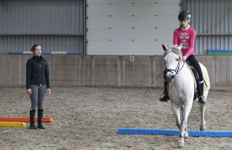 Paarden zijn lief en voelen je aan