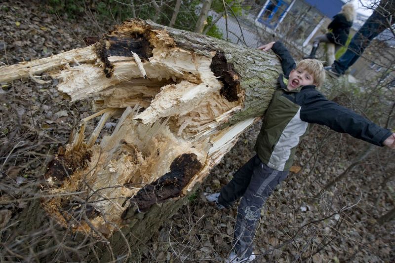 Storm... omgewaaide bomen en wateroverlast