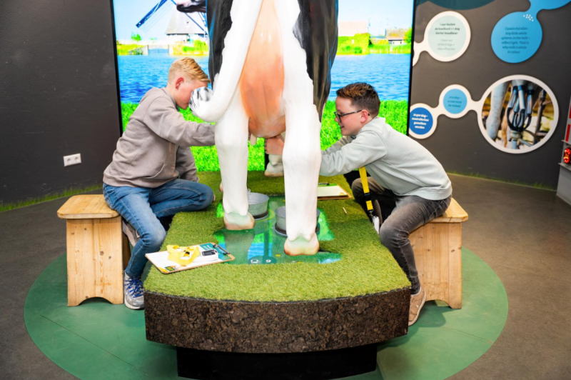In de leer bij een Goudse kaasmeester