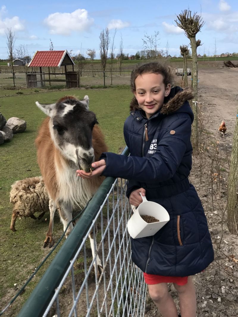 Zon, wind en water in mooi Friesland (met video)