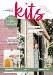 Huizen bouwen